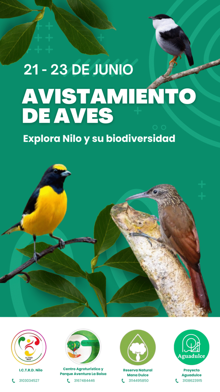 Avistamiento de aves en  Nilo